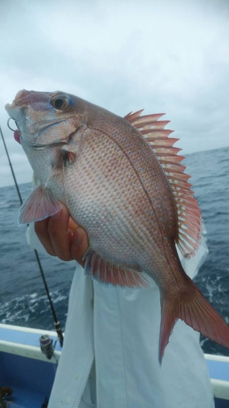 新幸丸 釣果