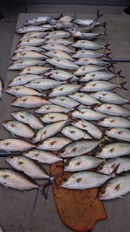 海皇丸 釣果