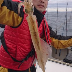 ARCADIAⅡ （アルカディアⅡ） 釣果