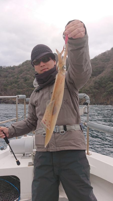 ARCADIAⅡ （アルカディアⅡ） 釣果