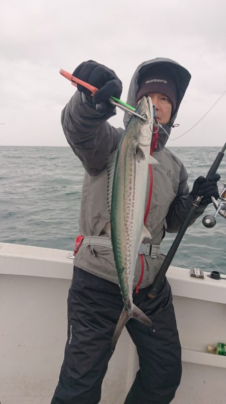 ARCADIAⅡ （アルカディアⅡ） 釣果