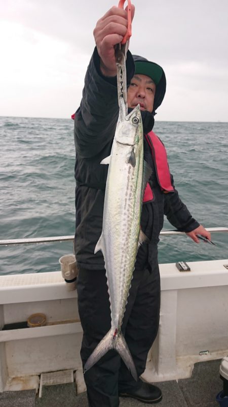 ARCADIAⅡ （アルカディアⅡ） 釣果