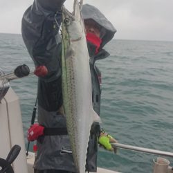 ARCADIAⅡ （アルカディアⅡ） 釣果