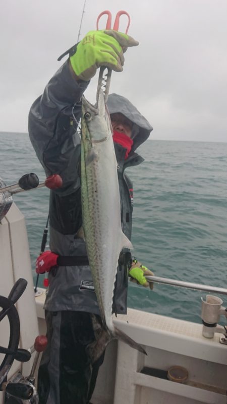 ARCADIAⅡ （アルカディアⅡ） 釣果