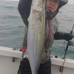 ARCADIAⅡ （アルカディアⅡ） 釣果