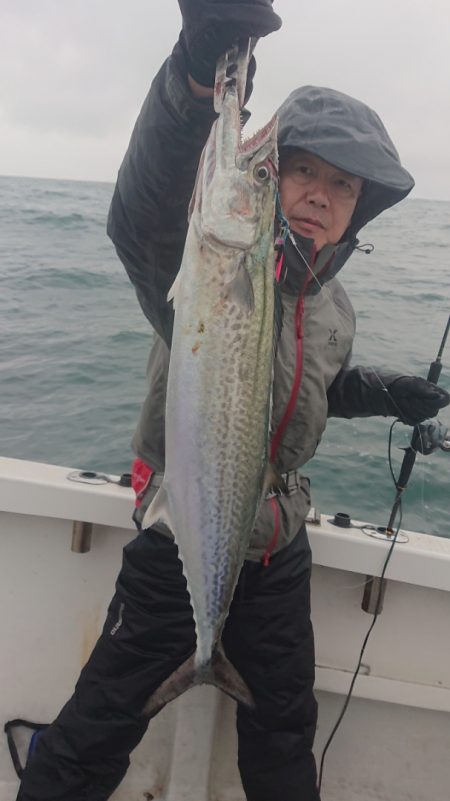 ARCADIAⅡ （アルカディアⅡ） 釣果