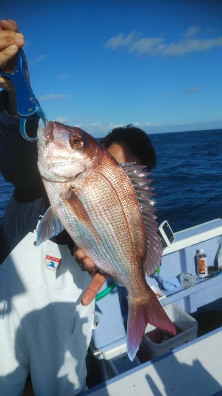 新幸丸 釣果