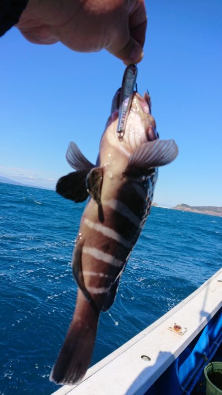 清和丸 釣果