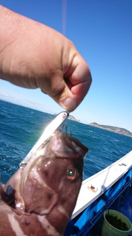清和丸 釣果