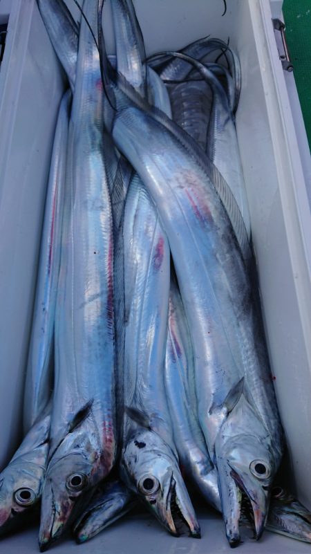 金沢八景鴨下丸 釣果