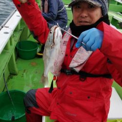 金沢八景鴨下丸 釣果