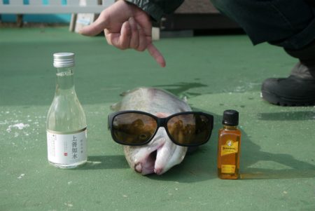 としまえんフィッシングエリア 釣果