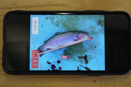 としまえんフィッシングエリア 釣果