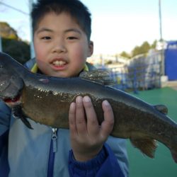 としまえんフィッシングエリア 釣果