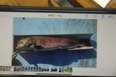 としまえんフィッシングエリア 釣果