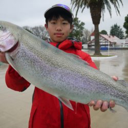 としまえんフィッシングエリア 釣果