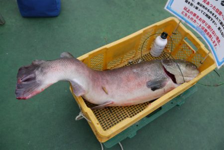 としまえんフィッシングエリア 釣果