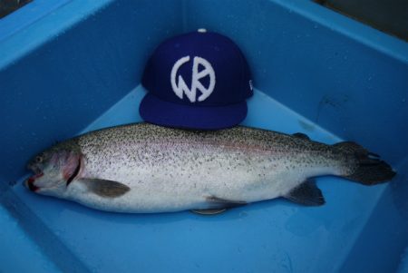 としまえんフィッシングエリア 釣果