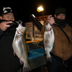 としまえんフィッシングエリア 釣果