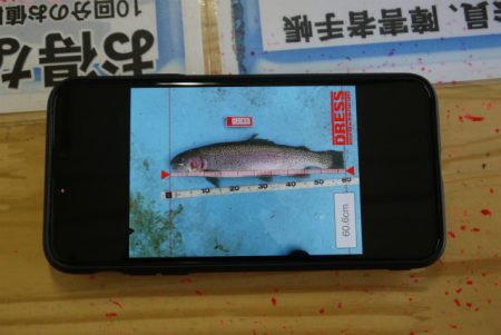 としまえんフィッシングエリア 釣果