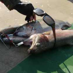 としまえんフィッシングエリア 釣果