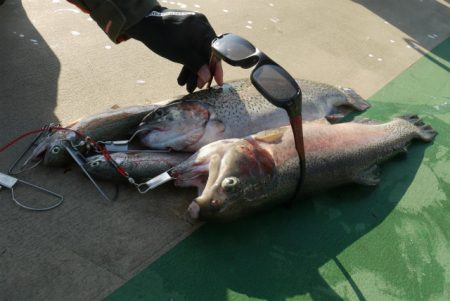 としまえんフィッシングエリア 釣果