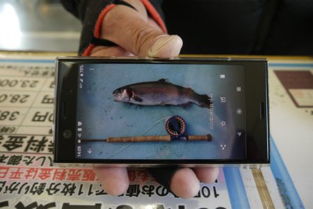 としまえんフィッシングエリア 釣果