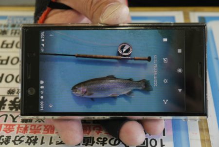 としまえんフィッシングエリア 釣果