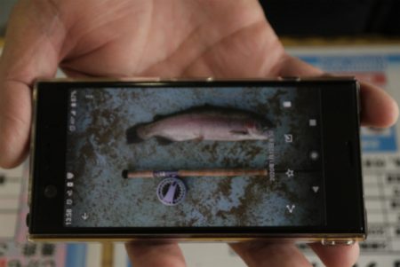 としまえんフィッシングエリア 釣果