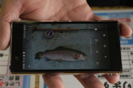 としまえんフィッシングエリア 釣果