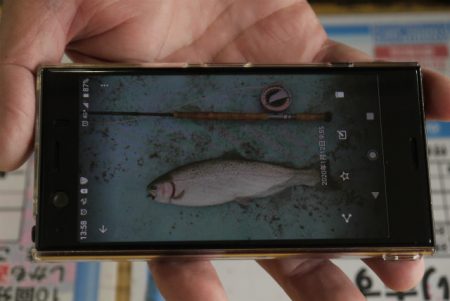 としまえんフィッシングエリア 釣果