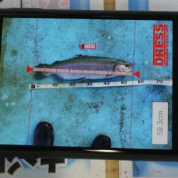 としまえんフィッシングエリア 釣果