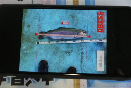 としまえんフィッシングエリア 釣果