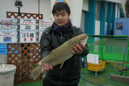 としまえんフィッシングエリア 釣果