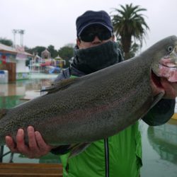 としまえんフィッシングエリア 釣果
