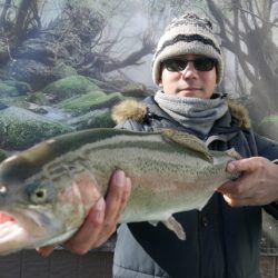 としまえんフィッシングエリア 釣果