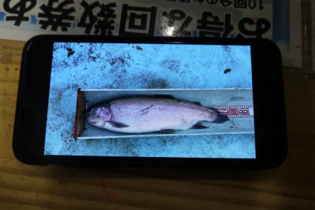 としまえんフィッシングエリア 釣果