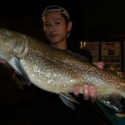 としまえんフィッシングエリア 釣果