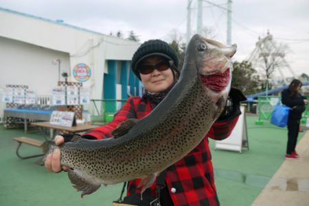 としまえんフィッシングエリア 釣果
