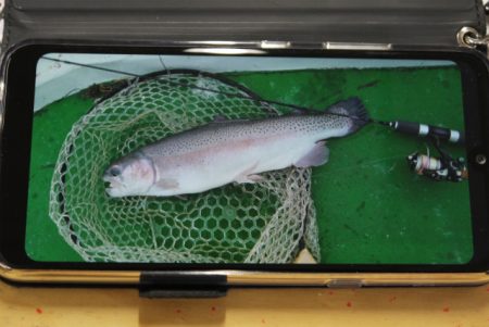 としまえんフィッシングエリア 釣果