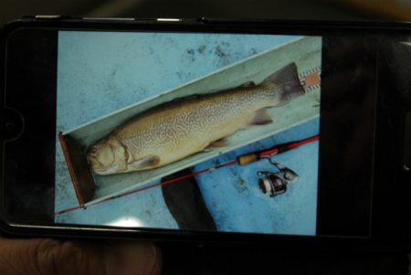 としまえんフィッシングエリア 釣果