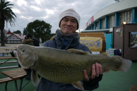 としまえんフィッシングエリア 釣果