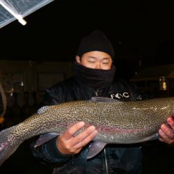 としまえんフィッシングエリア 釣果