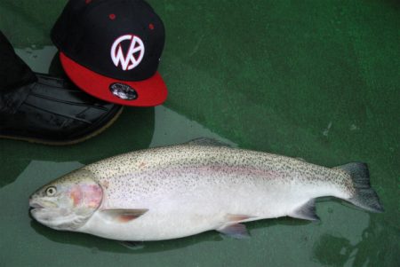 としまえんフィッシングエリア 釣果