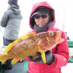 真祐丸 (しんゆうまる) 釣果