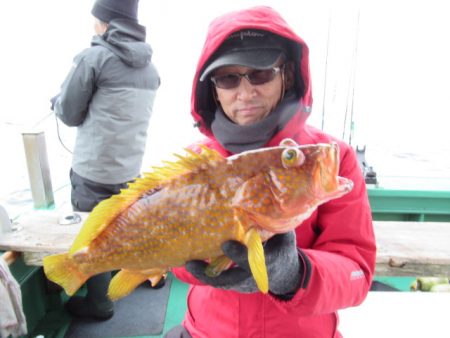 真祐丸 (しんゆうまる) 釣果