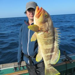 真祐丸 (しんゆうまる) 釣果