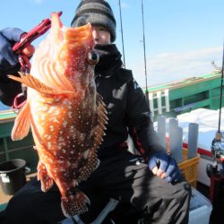 真祐丸 (しんゆうまる) 釣果