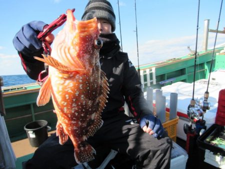 真祐丸 (しんゆうまる) 釣果