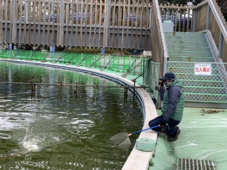 としまえんフィッシングエリア 釣果